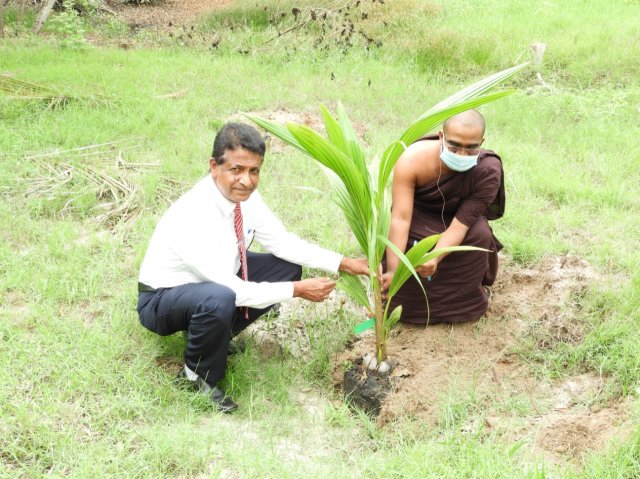 Tree Plantation at GA Bungalow